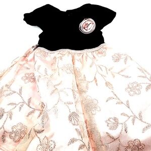 Jona Michelle Toddler Dress Size 3T Girls Buttons Glitter Rose Formal Holidays